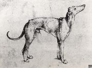 Albrecht Durer A Grayhound oil on canvas